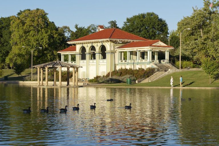 A Day at the Park in St Louis